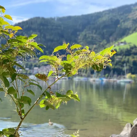 Appartamento Design Loft Sonnrain *